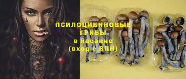 ПСИЛОЦИБИНОВЫЕ ГРИБЫ Алзамай