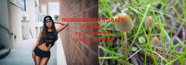трава Абаза