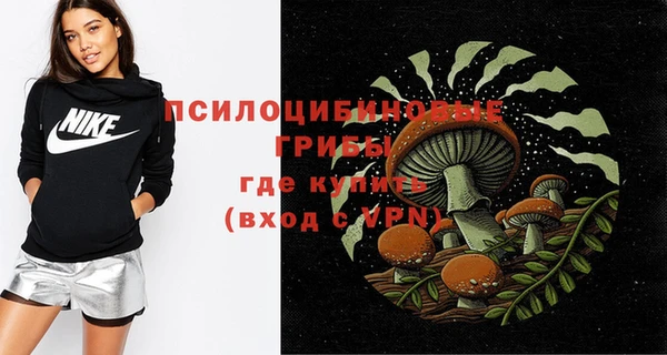 ПСИЛОЦИБИНОВЫЕ ГРИБЫ Алзамай