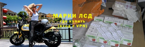 ПСИЛОЦИБИНОВЫЕ ГРИБЫ Алзамай