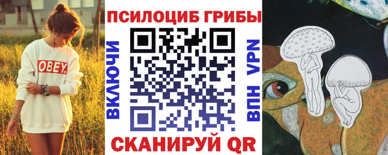 дарк нет какой сайт  Дмитров  Псилоцибиновые грибы Magic Shrooms 
